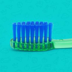 Perspectiva de corte de los filamentos de cepillo dental infantil con mango cristal