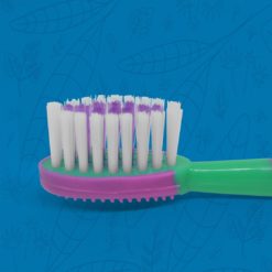 Cabeza del cepillo dental infantil bi color