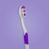 Cepillo dental para adultos color púrpúra bicomponente