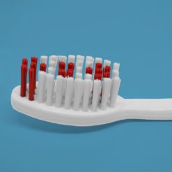 Detalle de las cerdas corte recto de cepillo dental para adultos