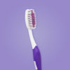 detalle de cepillo de ortodoncia para adultos mango color purpura