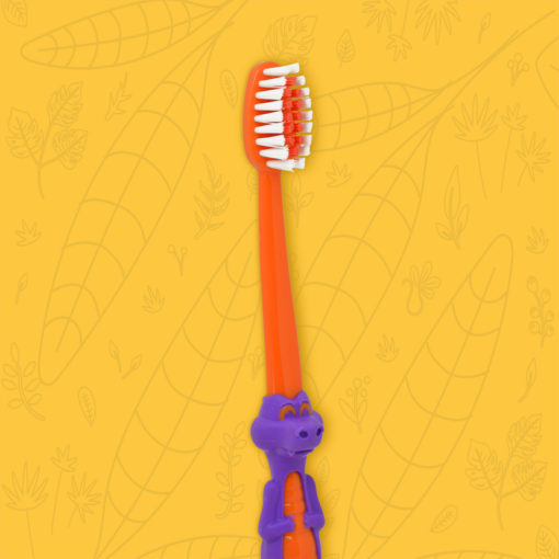 perspectiva cepillo dental infantil Coco